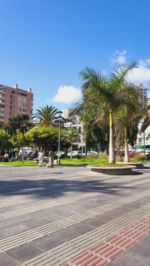 Apartamento Departamento En 1d Y 1b Full